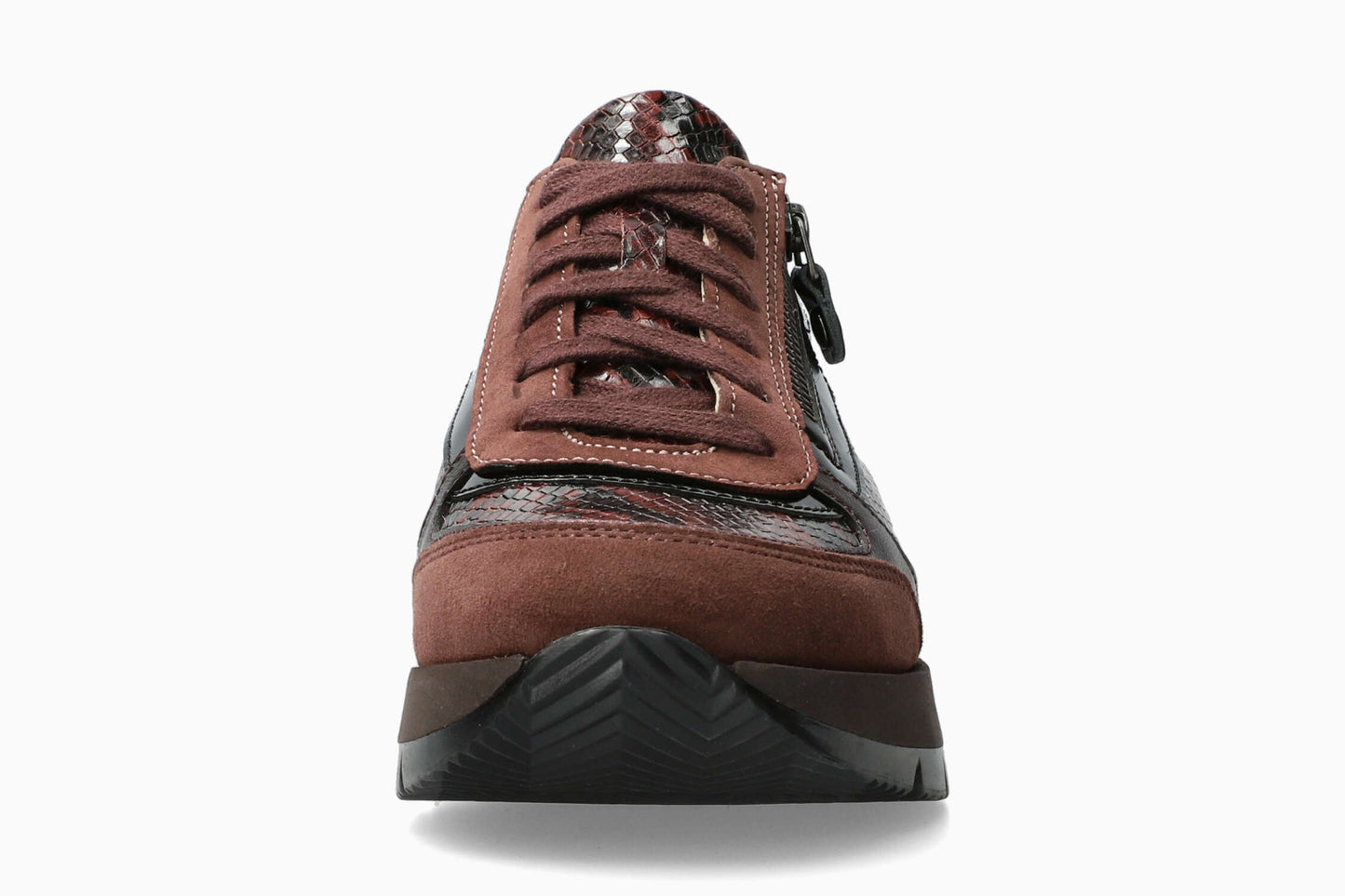 Tiziana - Chestnut Women Sneaker