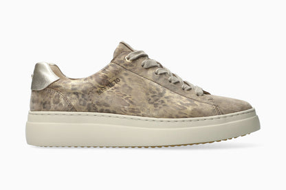 Dotty - Light Sand Women Sneaker