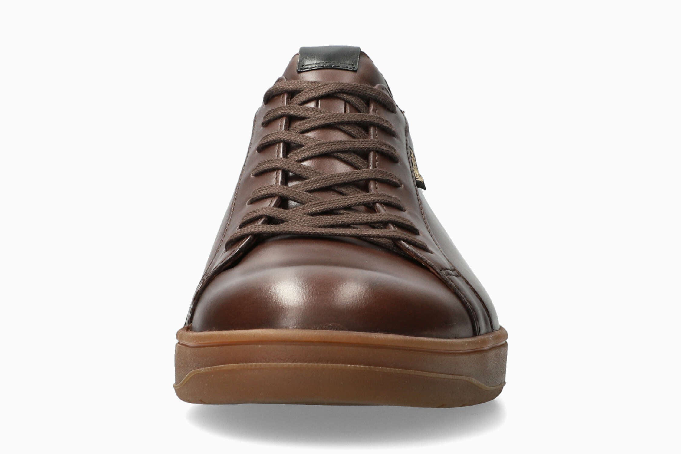 Hasko - Brown Men Sneaker