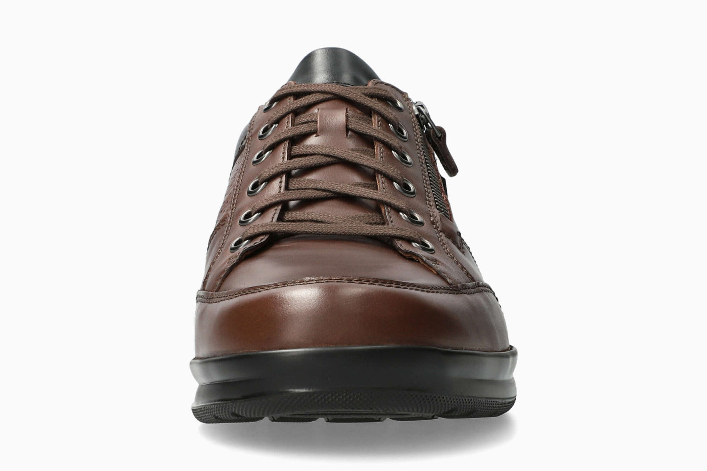 Lucca - Brown Men Sneaker