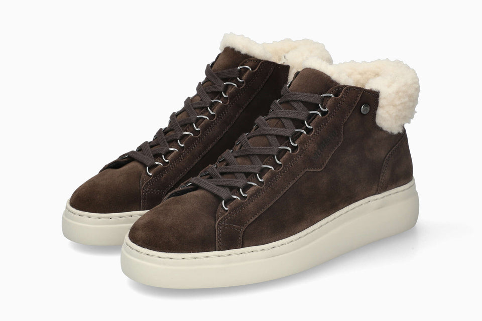 Dolie - Dark Brown Women Sneaker