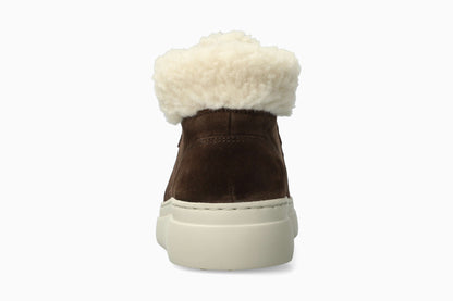 Dolie - Dark Brown Women Sneaker