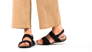 Agave - White | M7YH